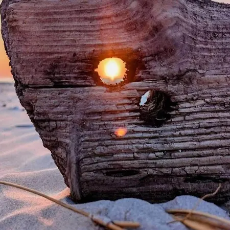 10 Person In Saltum-by Traum * Saltum